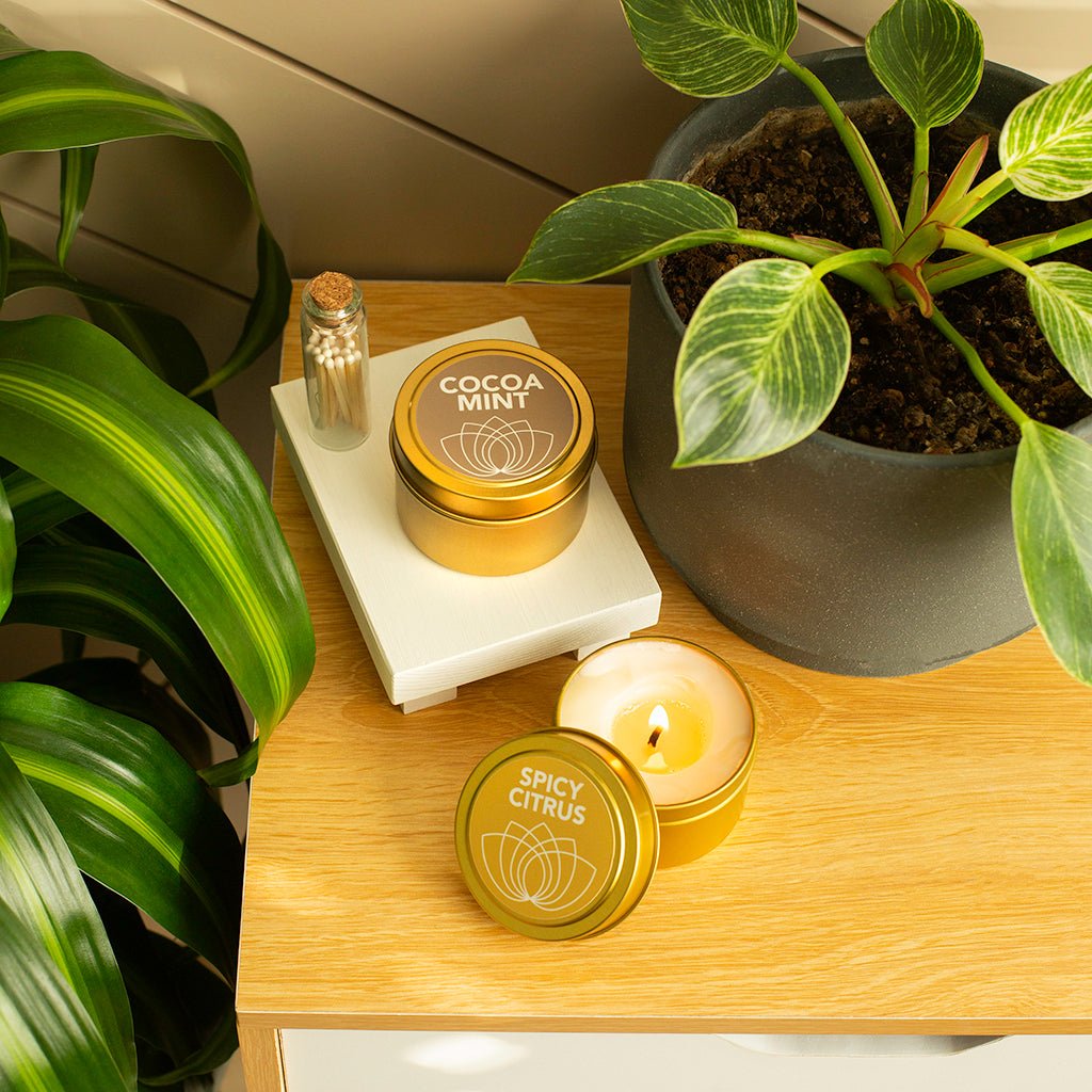 Spicy Citrus + Cocoa Mint Massage Candle 4 oz Duo - Good Clean Love