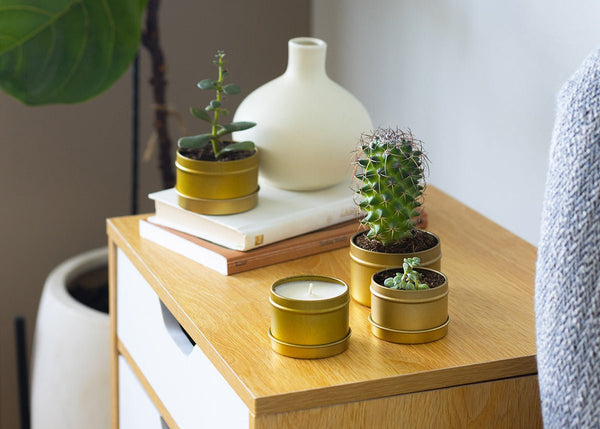 How to Recycle our Packaging - Good Clean Love