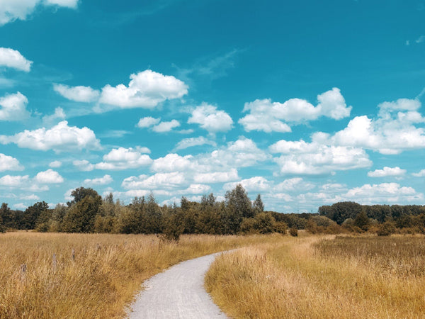 Belonging to Change - Good Clean Love