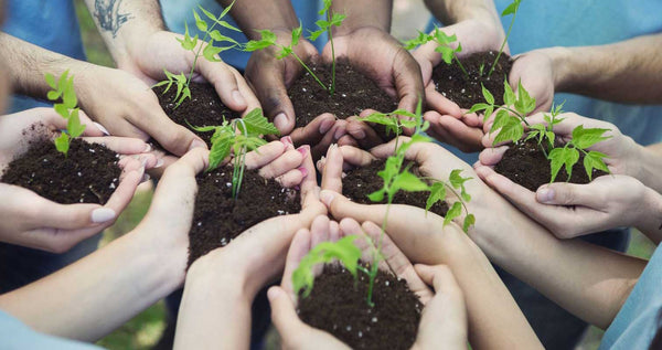 Sustainable Living Guide: Eco-Friendly Practices for Earth Day - Good Clean Love