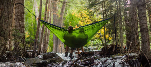 Intimate Ecology: How the Four Elements Shape Your Relationship - Good Clean Love