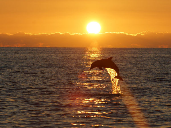 Game Changing Life - Good Clean Love