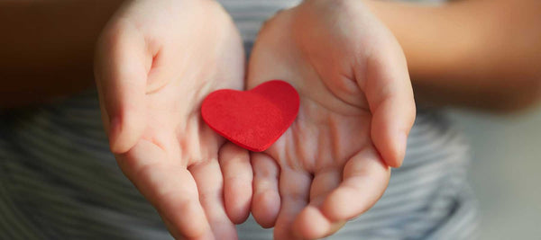 The Heart Brain - Good Clean Love