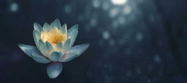 Mindful Pleasures: How to Meditate for More Enriching Intimate Experiences - Good Clean Love