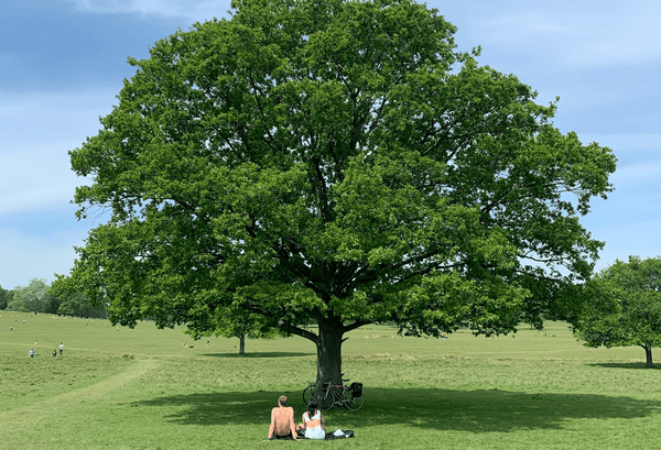 Business as a Force for Good: Celebrating B-Corp Month - Good Clean Love