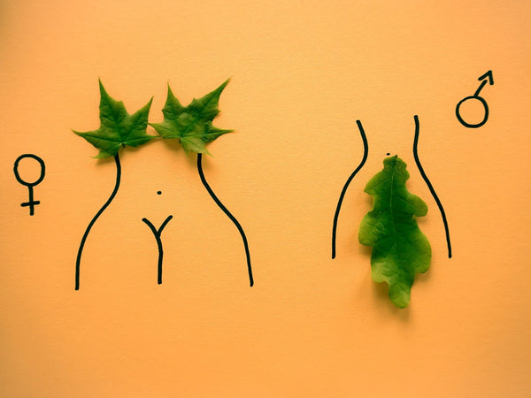 Take One for the Team - Good Clean Love