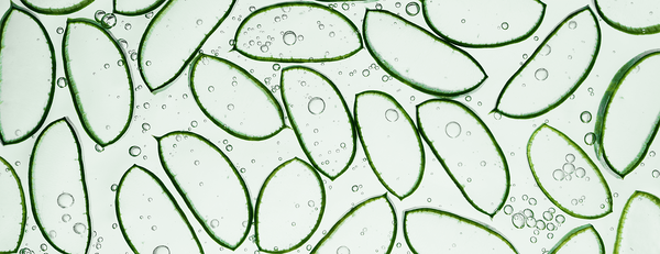 The Making of Bio-Match® for Vaginal Health