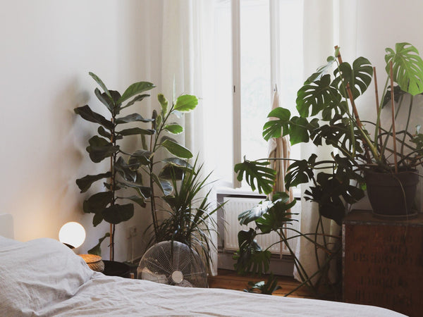 Attention: The New Currency - Good Clean Love