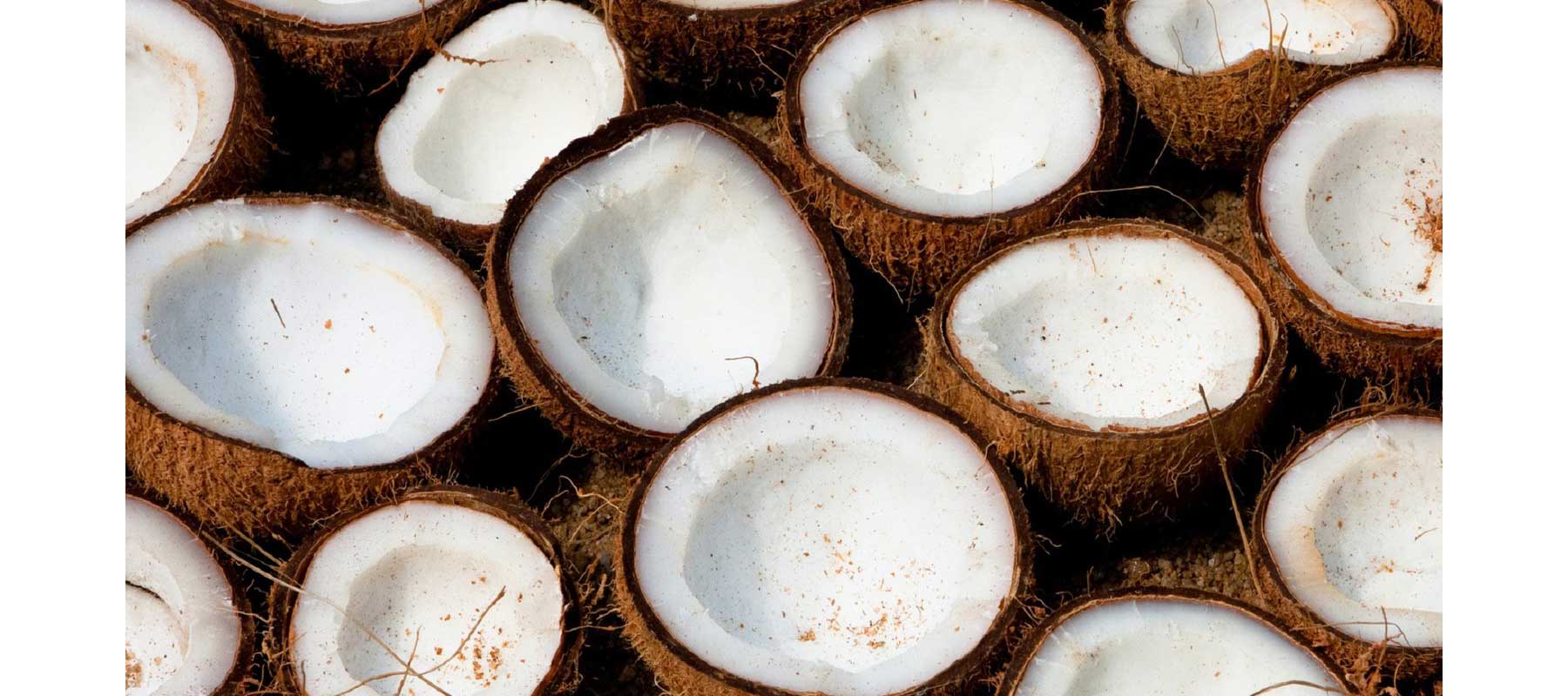 Can I Use Coconut Oil As a Lubricant?