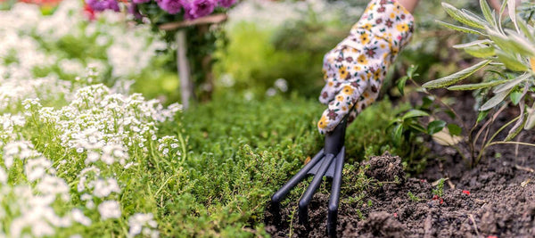 How to Weed Out Negative Thoughts Before They Overtake Your Mind – And Your Relationship - Good Clean Love