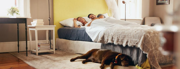 Day 156: Leaving On A Jet Plane - Good Clean Love