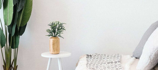 Q&A with Dame Products: Closing the Pleasure Gap with Innovation - Good Clean Love