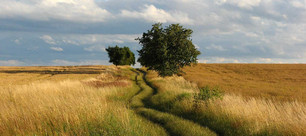 Life that Works: Direction Not Destination - Good Clean Love