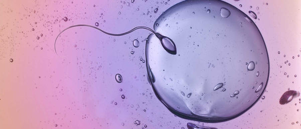 Can Sperm Cause Abdominal Pain? - Good Clean Love