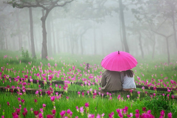 Day 148: An Inside Job - Good Clean Love