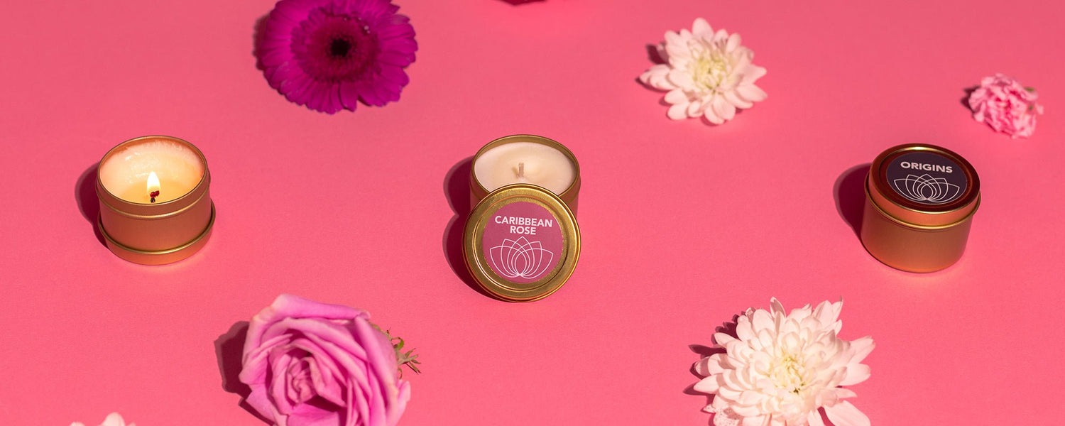 Aphrodisiac Party - Good Clean Love