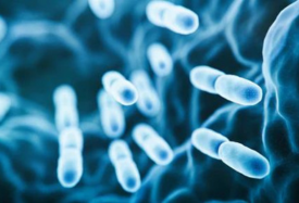 Almost Naked® Products