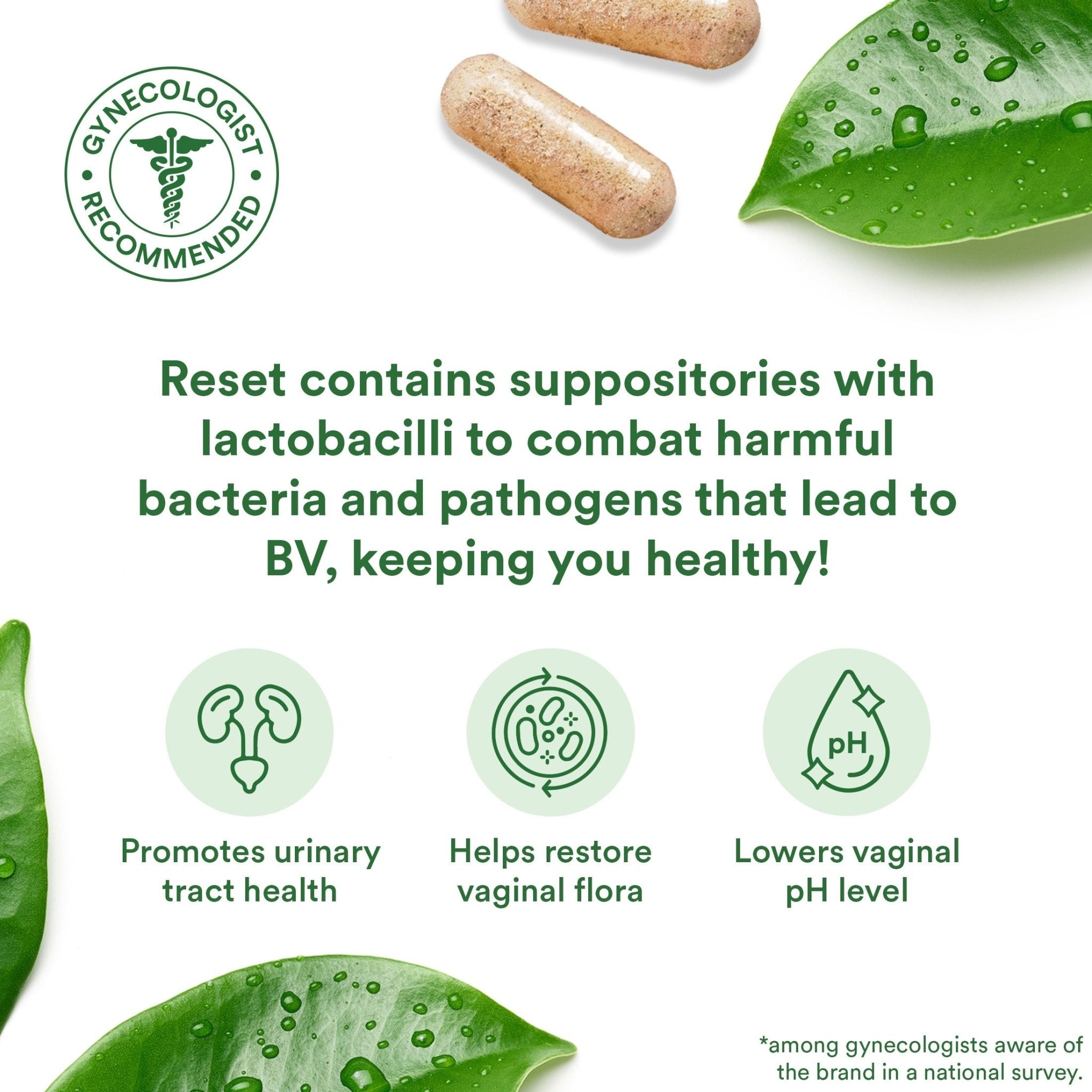 Reset Homeopathic Vaginal Suppository - Good Clean Love