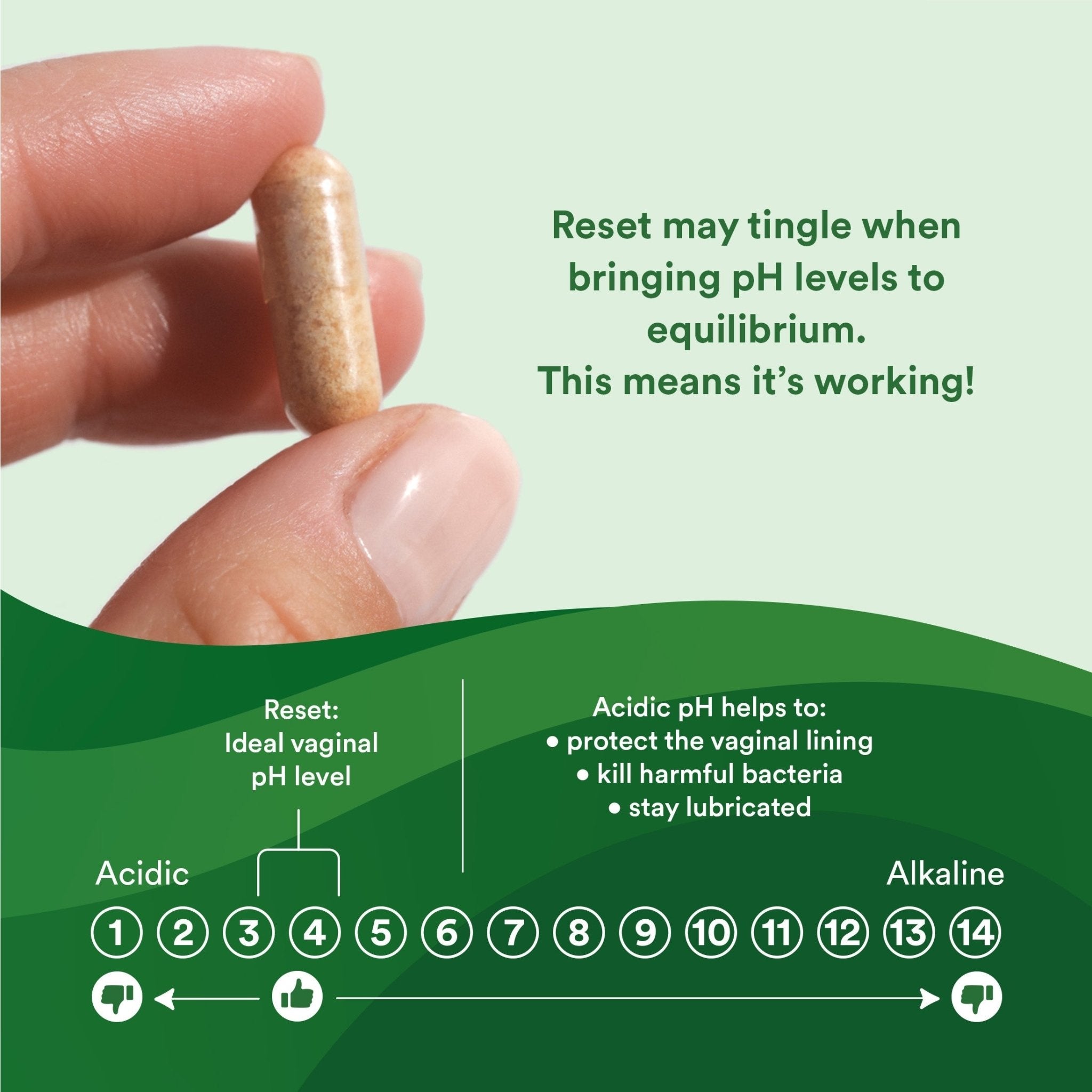 Reset Homeopathic Vaginal Suppository - Good Clean Love