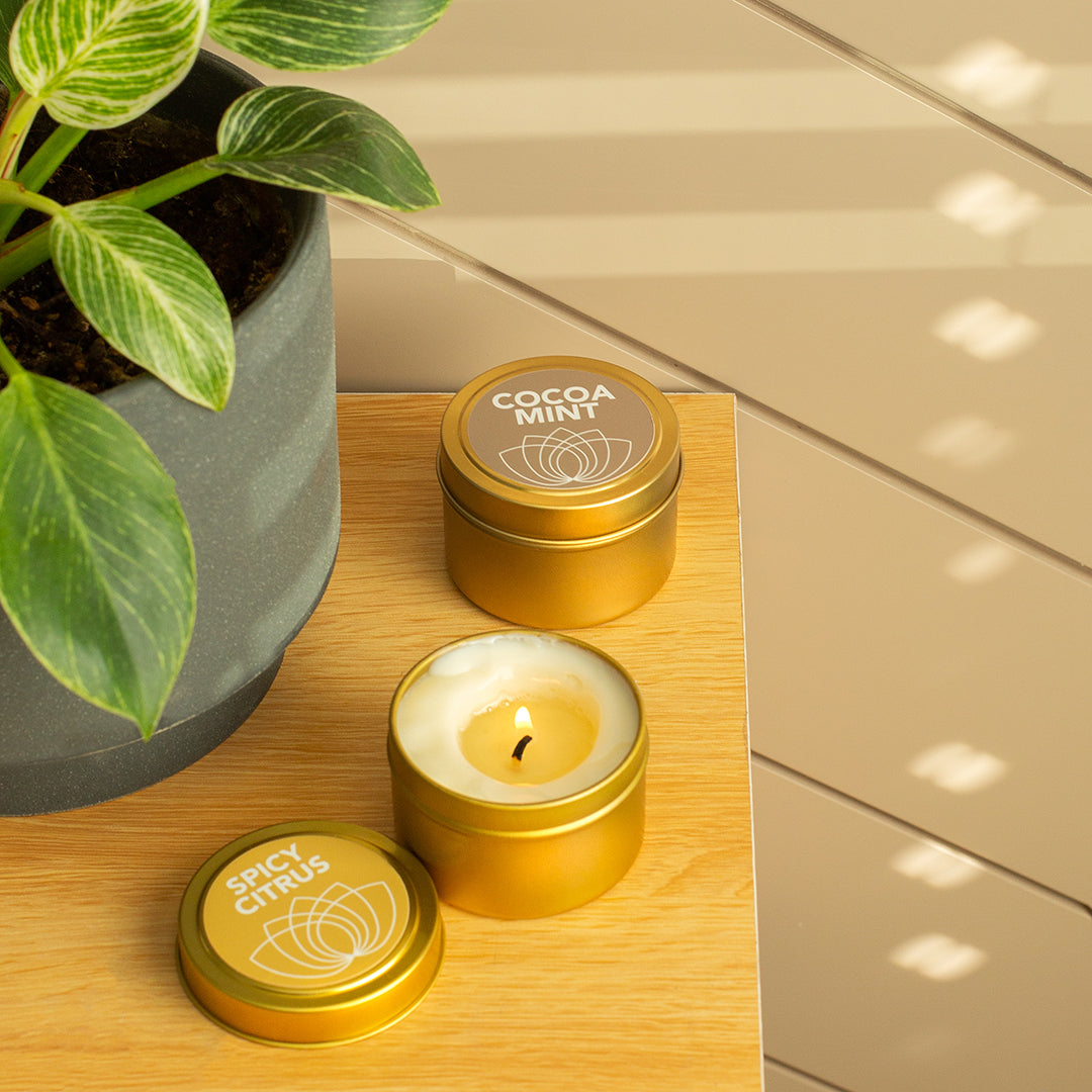Spicy Citrus + Cocoa Mint Massage Candle 4 oz Duo
